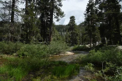 DSC_4395 (Large).JPG